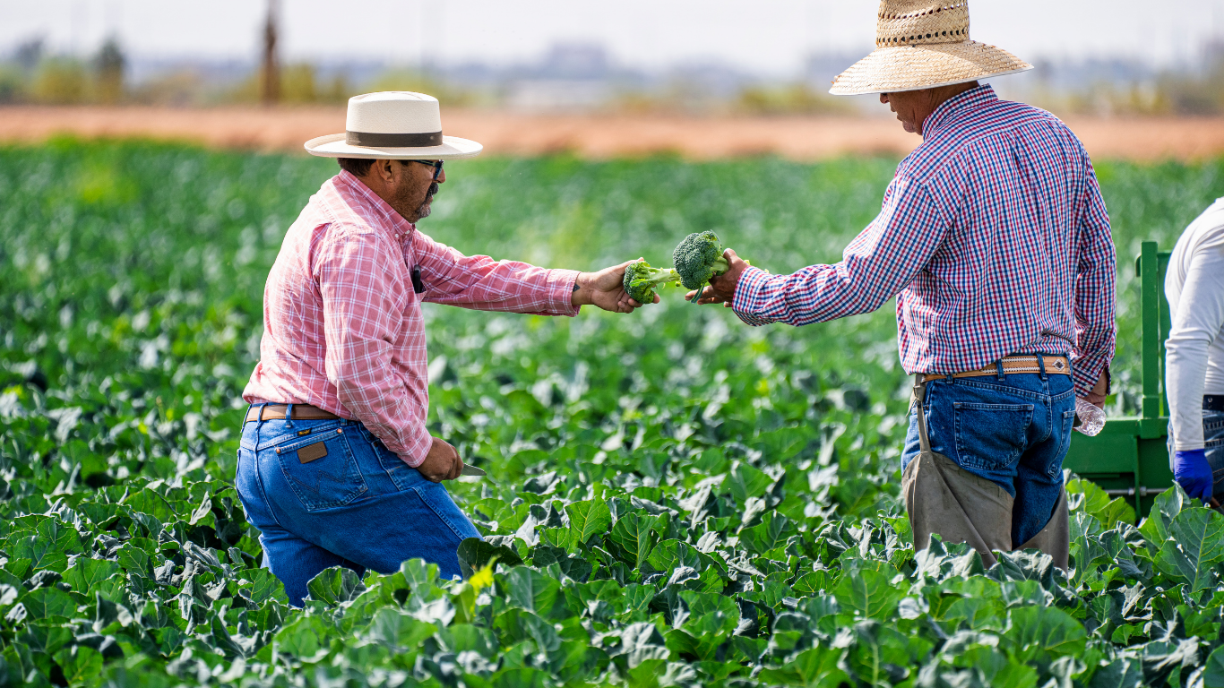 2025 UK Seasonal Work Visa: Everything You Need to Know Before You Apply